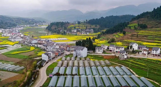 特色農業產業種植基地。